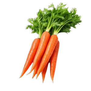Carrot