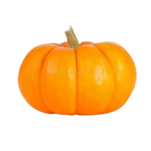 Pumkin