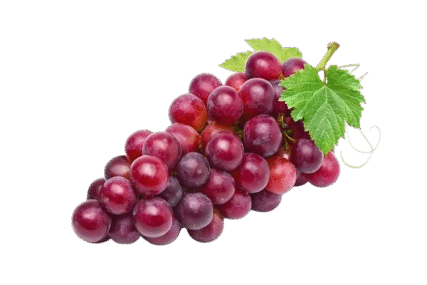 Grapes